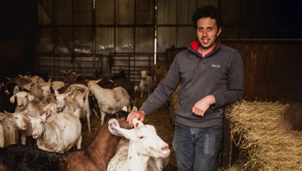 Diced Goat Meat Near Me Buy Goat Meat Online Free Range Diced Goat