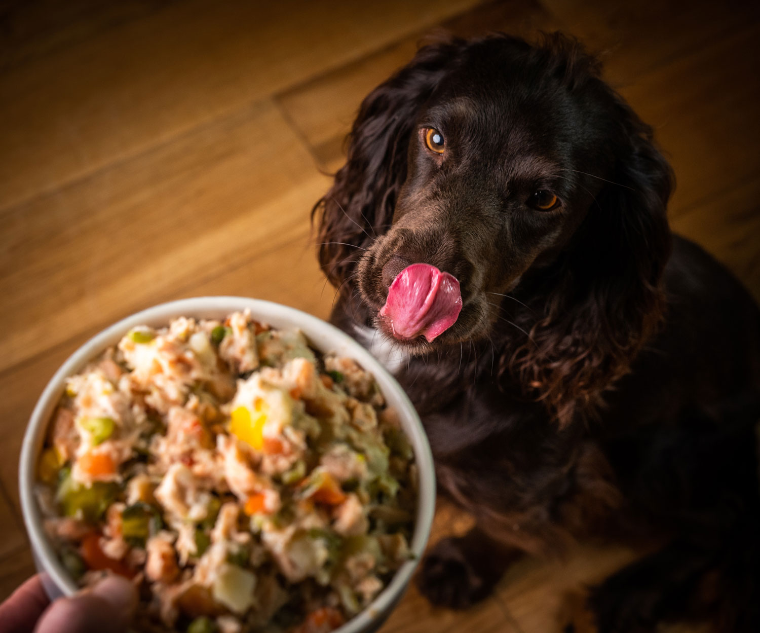 Monty's Larder Premium Grain Free, GrassFed Food for Dogs