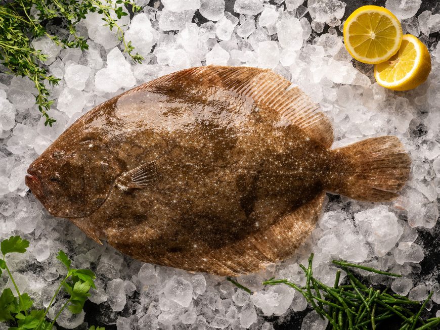 Fresh Brill (1 x Whole Fish Filleted 200g-300g)